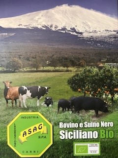 Bovino e Suino